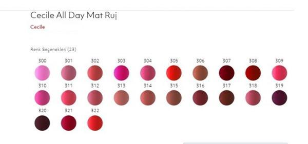Cecile All Day Matte Rouge Mat Ruj 313 - Image 1