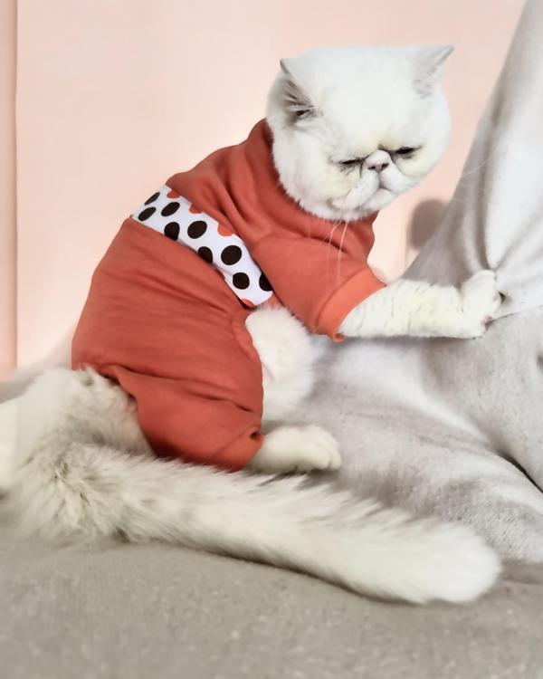 Puanti Kalın Penye Kedi Tulum Pijama - Image 1