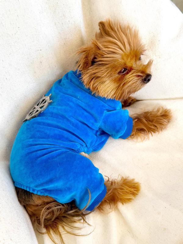 Blue Seas Köpek Tulum Pijama - Image 1
