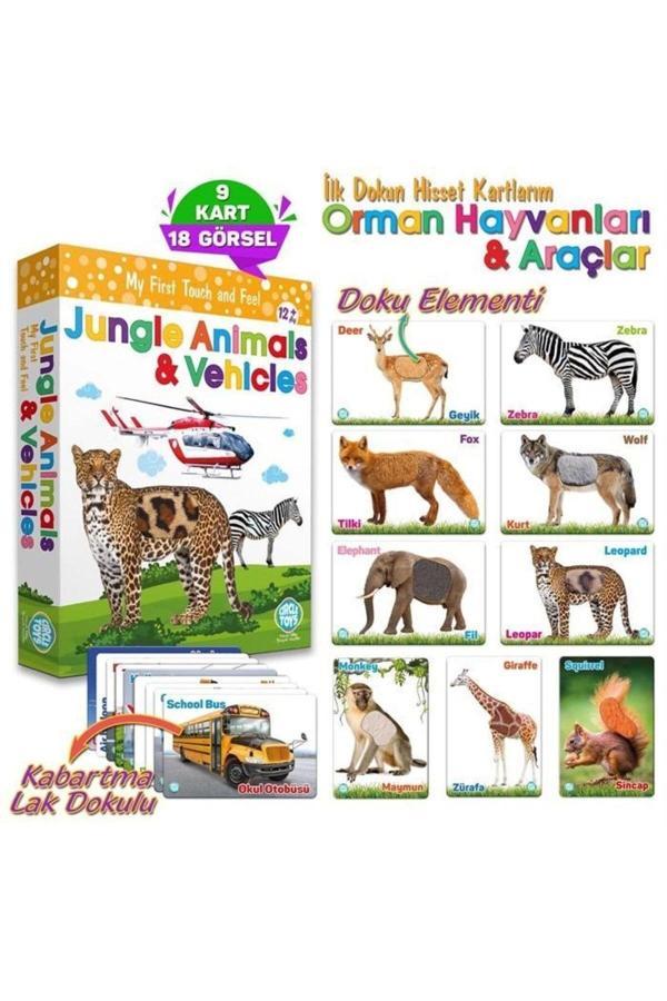 Özel Üretim Görsel Algı Eğlenceli Öğrenme Hisset Orman Hayvanları Ve Araçlar Eğitim Kartları - Image 1