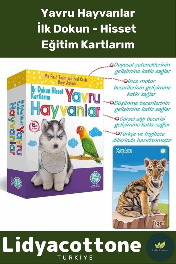 Premium İnce Motor Gelişimi Görsel Algı Eğlenceli Eğitim Kartları Dokun Hisset Tanı Yavru Hayvanlar - Image 1
