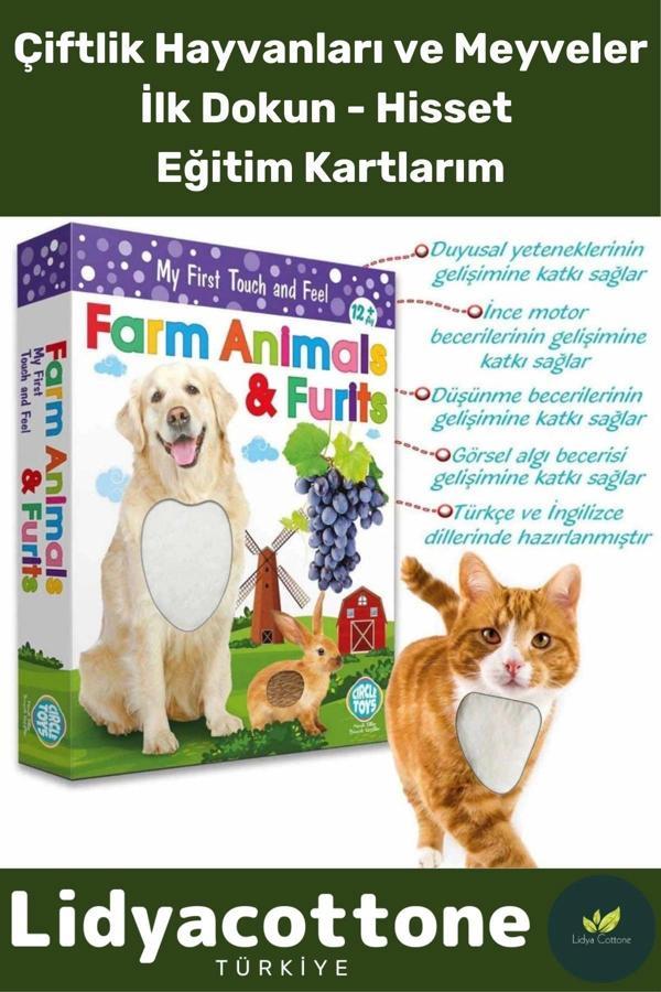 Premium I?nce Motor Gelişimi Görsel Algı Öğrenme Dokun Hisset Çiftlik Hayvanları Ve Meyveler - Image 1