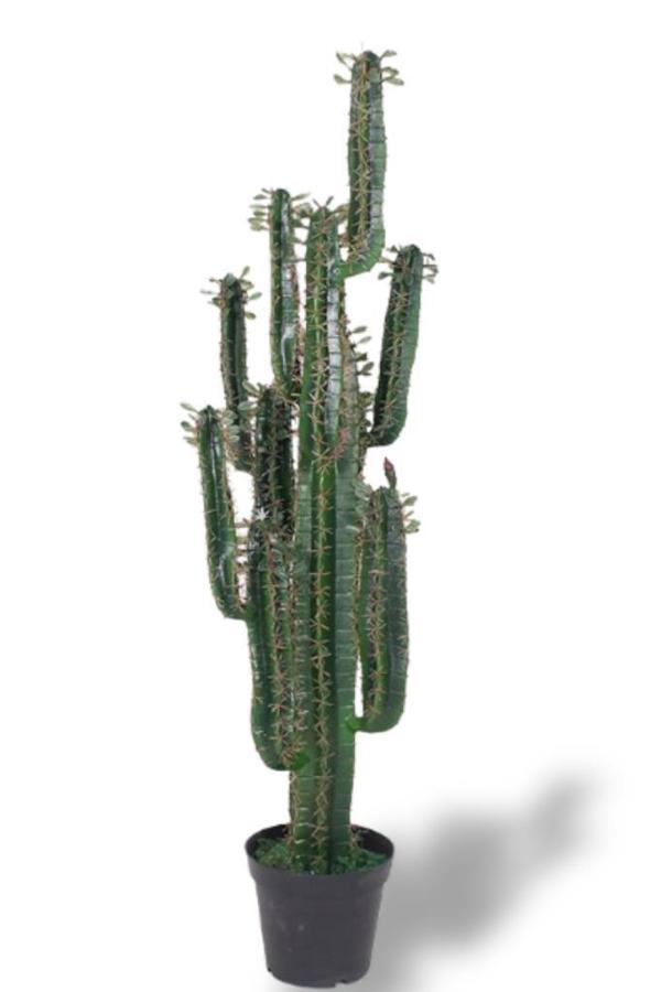 Yapay Çiçek Kaktüs Ağacı Siyah Saksıda 145*37cm 10 Kollu - Image 1