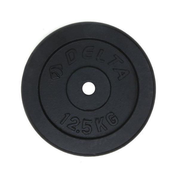 Delta 12,5 Kg x 2 Adet Siyah Döküm Plaka Çiftli Ağırlık Flanş - Image 1