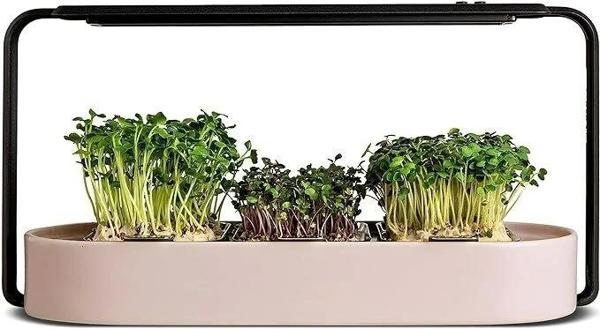 Ingarden Organik Süper Tohum Yetiştirme Kiti Otomatik 4 Kademe Led - Gül Rengi - Image 1