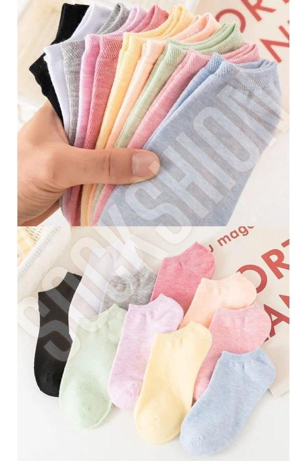 Sockshion Kadın Karışık Extra Soft Renkli Koton Patik Çorap Seti 8 Çift - Ayaklarınıza Renk Katın! - Image 1