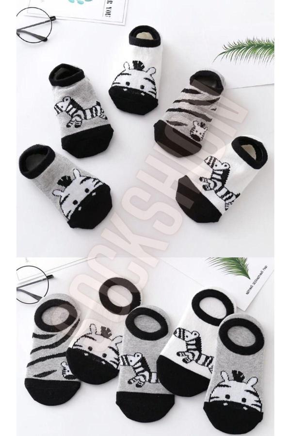 Sockshion Çocuk Zebra Desenli Renkli Patik Çorap Seti 5'Li Paket - Image 1
