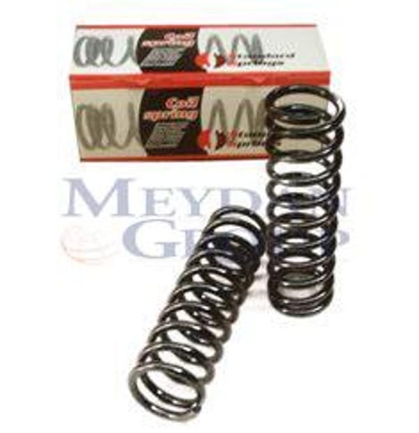 Mercedes E Class W210 96/99 Arka Helezon Yayı Sağ/sol(2li̇ Set) Elagance E200/220/e230(14x99x334)  - Image 1
