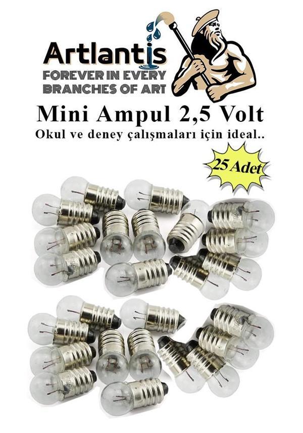 Mini Ampul 2,5 Volt 25 Adet 1 Paket Küçük Elektrik Deney Ampulü 2.5 v Okul Sınıf Elektrik Devre Deney Ampulü - Image 1