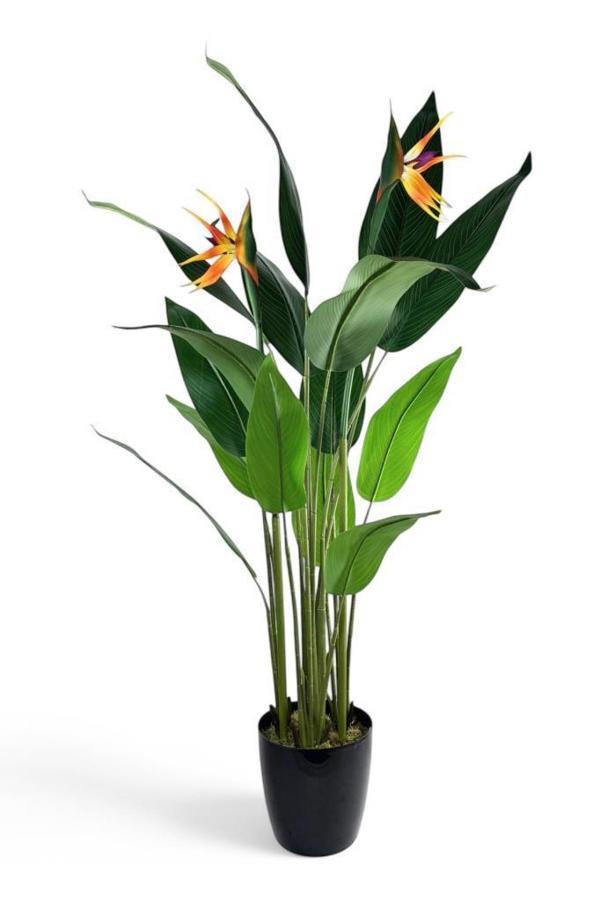 Yapay Ağaç Starliçe 160cm Horoz İbiği Çiçekli Bird of Paradise Artificial Plants - Image 1