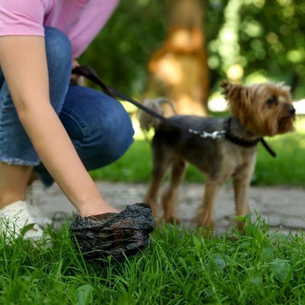 Büro Ev Evcil Hayvanı için 10ADET Kullan At Kedi Köpek Kaka Poşeti Seti - Image 1