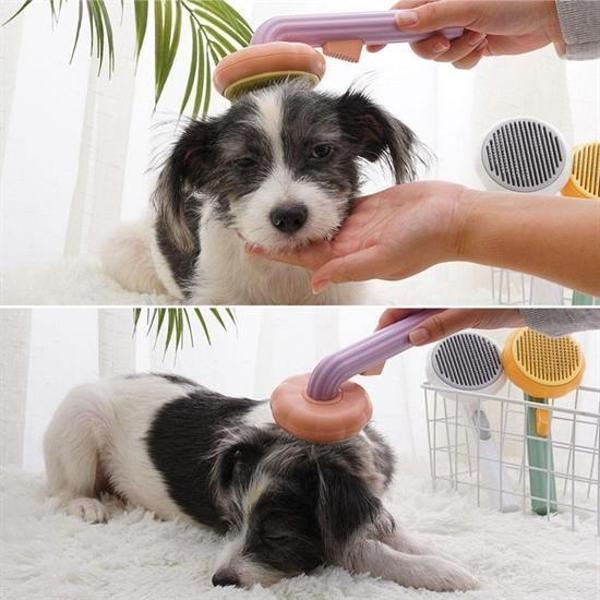 Büro Ev Evcil Hayvanı için Yeşil Plastik Çok Amaçlı Kedi Köpek Fırçası - Image 1
