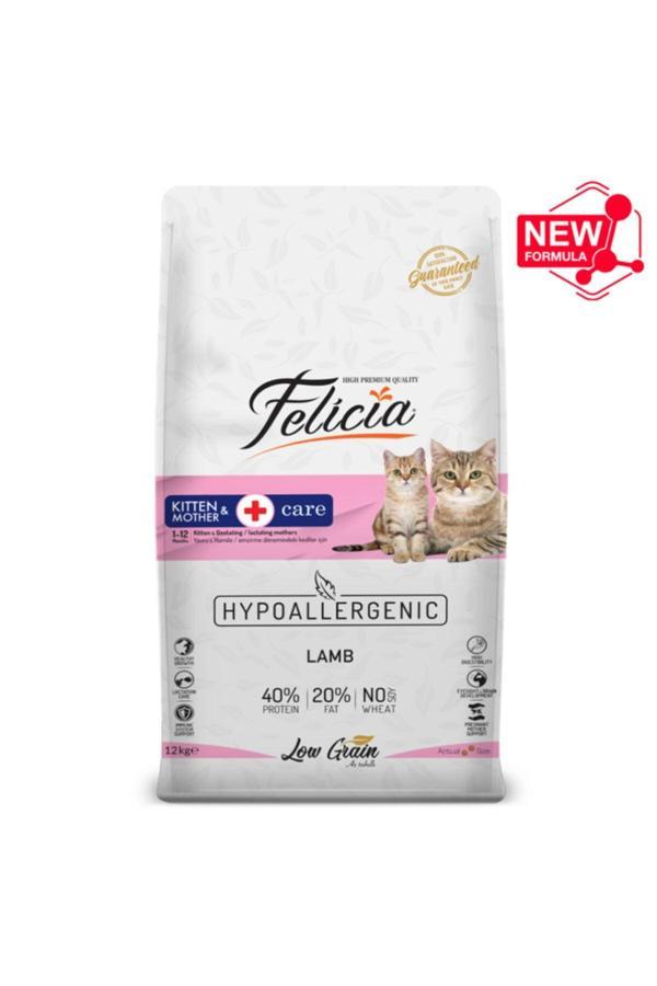 Felicia Starter Care Az Tahıllı Kuzu Etli Hypoallergenic Yavru Kedi Maması 12Kg - Image 1