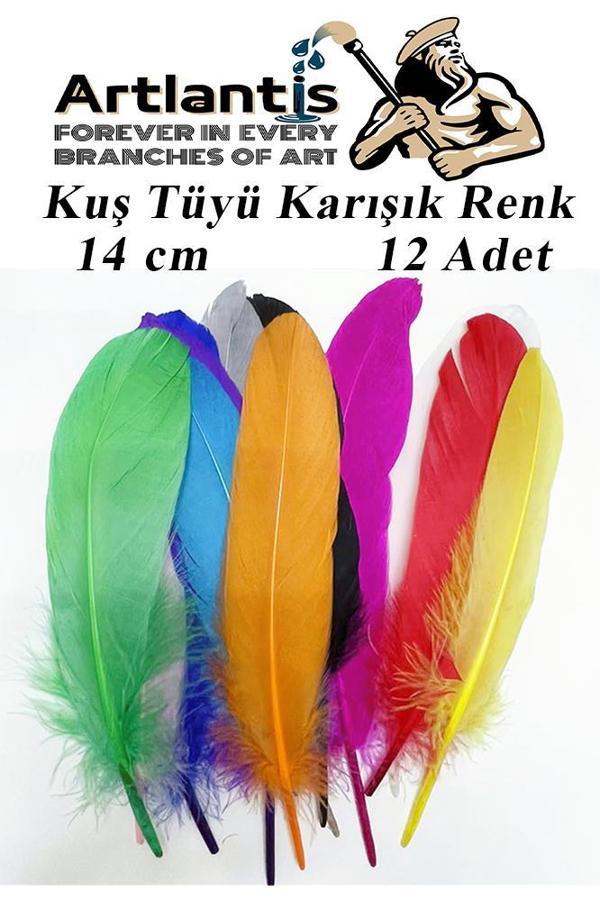 Kuş Tüyü Renkli 12 Li 1 Paket 14 cm Tüy Karışık Renk Hobi Okul Öncesi Kreş Anasınıfı Kuş ve Kaz Tüyü Renkli - Image 1