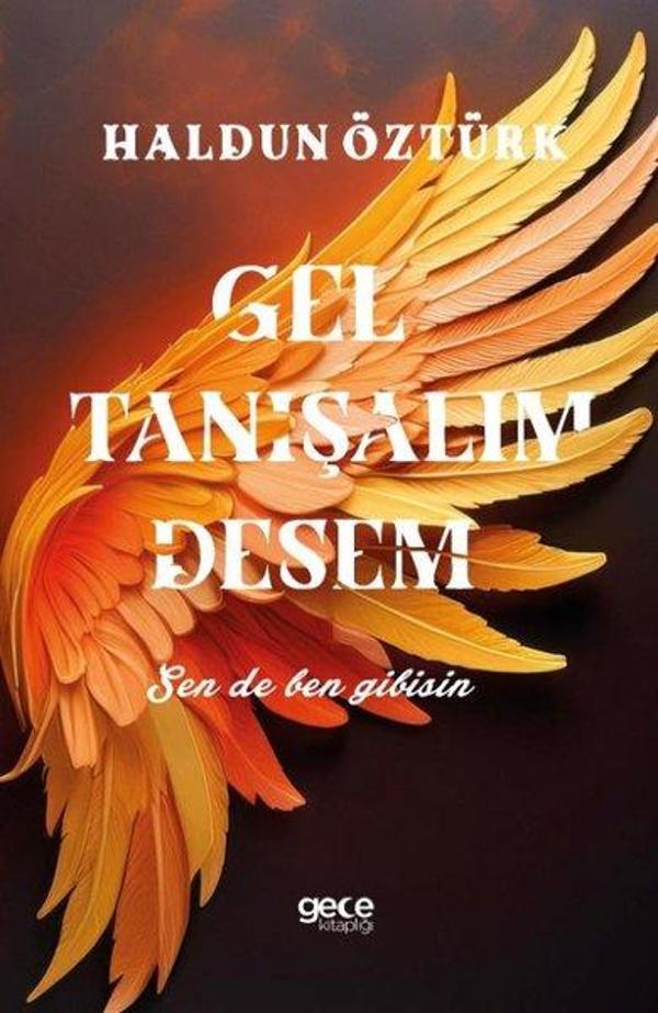 Gel Tanışalım Desem - Gece Kitaplığı - Image 1
