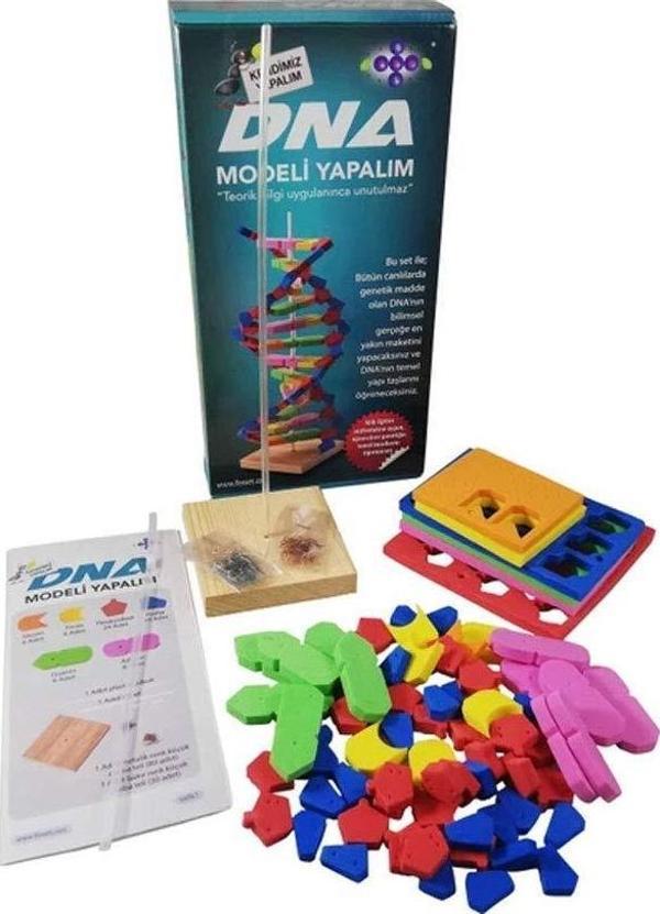 Fenset Hobi Eğitim Dünyası DNA Modeli Yapalıml Eğitici Deney Seti - Image 1