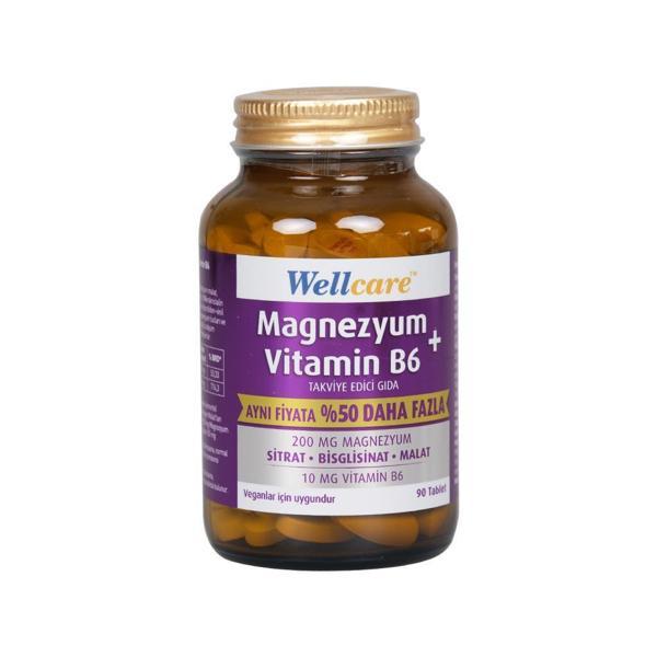 Wellcare Magnezyum Vitamin B6 200/10MG 90 Tablet - Image 1