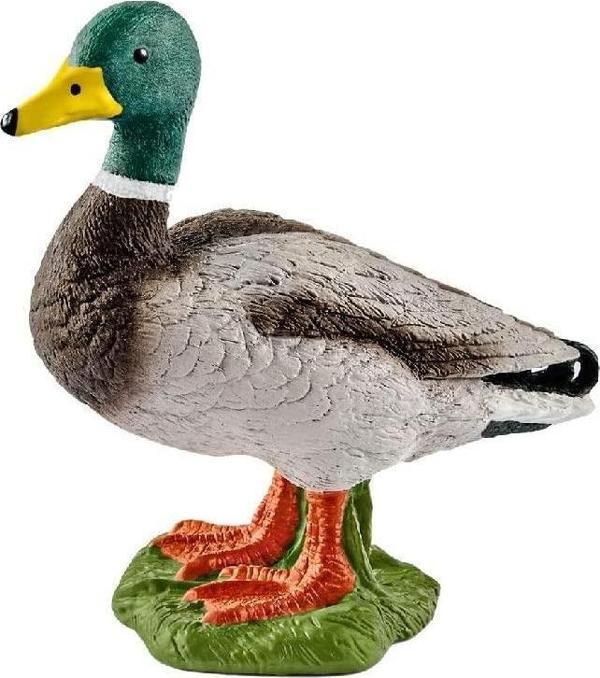 Schleich Erkek Ördek 13824  - Image 1