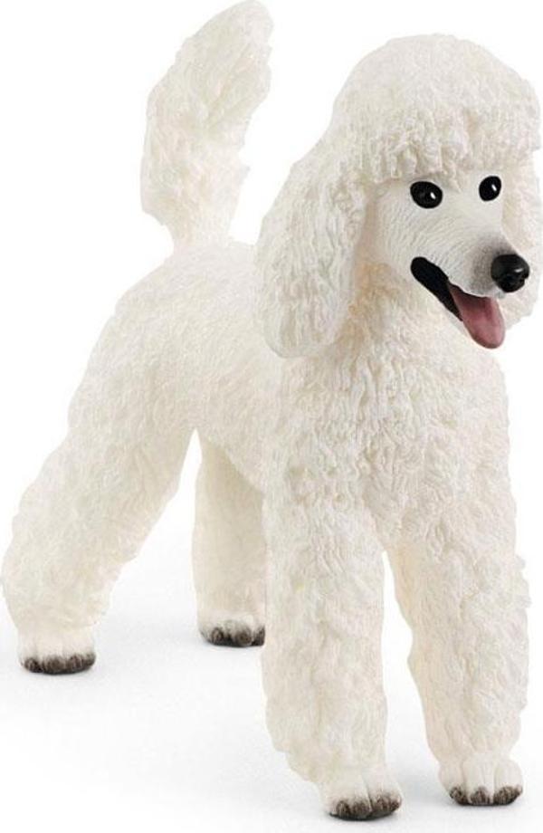 Schleich Kaniş 13917  - Image 1