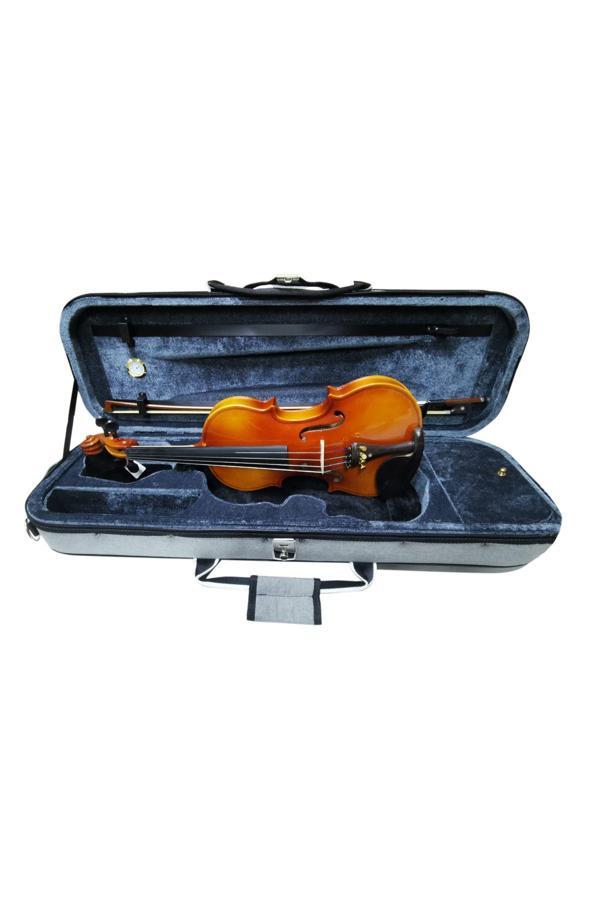 Bergner Profesyonel 4/4 Keman - Image 1
