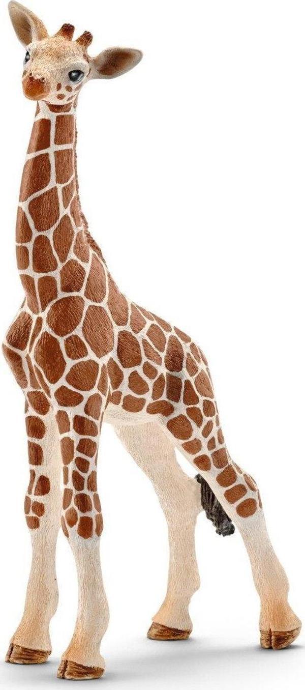 Schleich Yavru Zürafa 14751  - Image 1