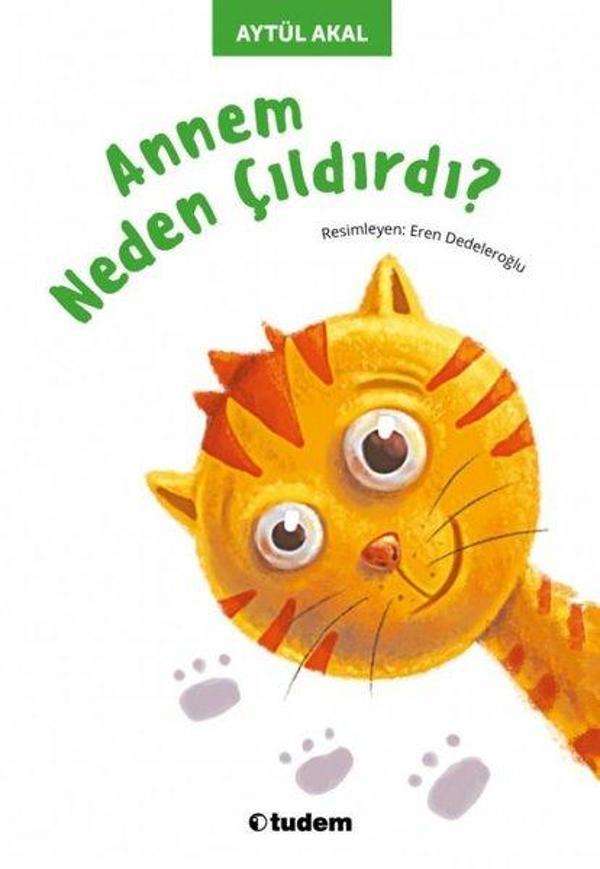 Annem Neden Çıldırdı? - Uçanbalık Yayıncılık - Image 1
