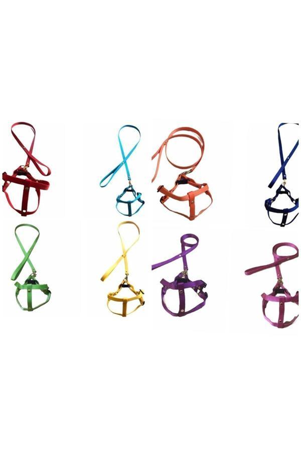Dino Pet Butik Aksesuar Kedi Ve Köpek Göğüs Tasması Seti - Image 1