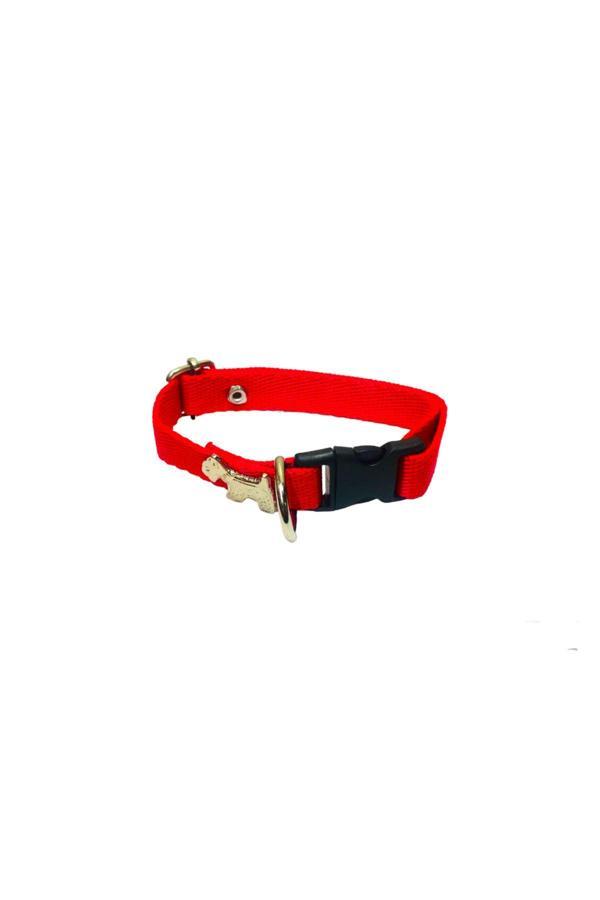 Dino Pet Butik Aksesuar Köpek Figürlü Boyun Tasması - Image 1