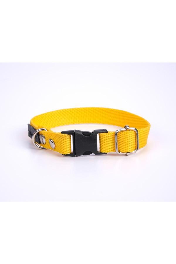 Estapet Prestij Dokuma Yavru Ve Küçük Irk Köpek Boyun Tasması 1,5 Cm Kalınlık - Image 1