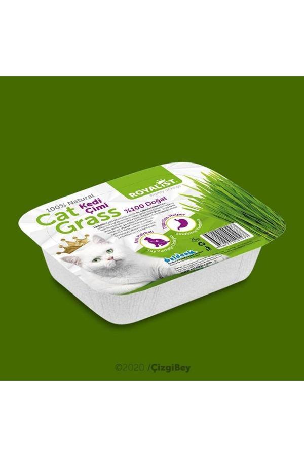 Home %100 Doğal Sindirimi Rahatlatıcı Kedi Çimi - Image 1