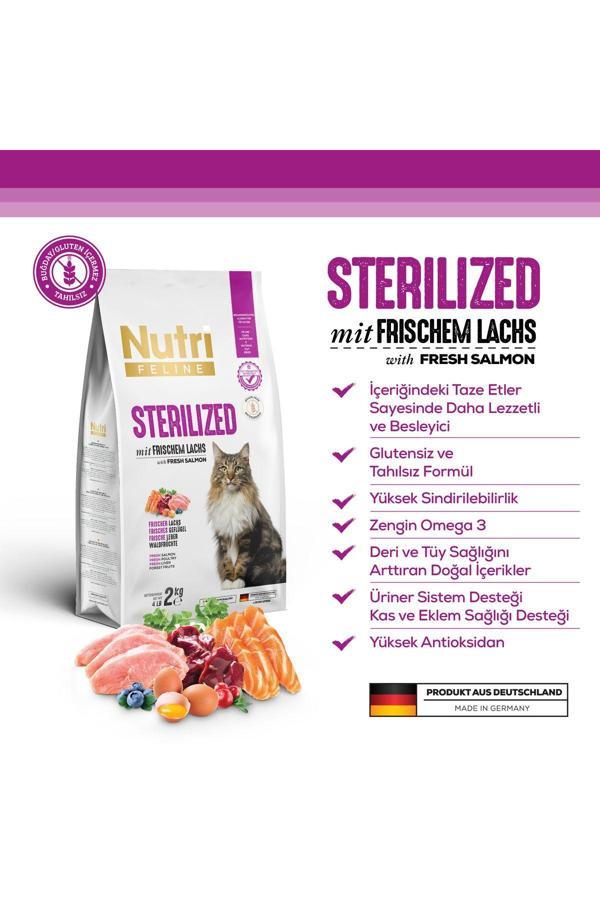 Adult Sterilised Kısırlaştırılmış Somonlu Yetişkin Kedi Maması 2 kg - Image 1