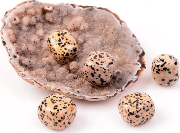 Taş Sandığı Dalmaçyalı Jasper Taşı Kütle - Image 1