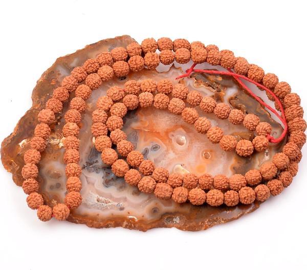 Taş Sandığı Rudraksha Tohum Dizi - 8 mm - Image 1