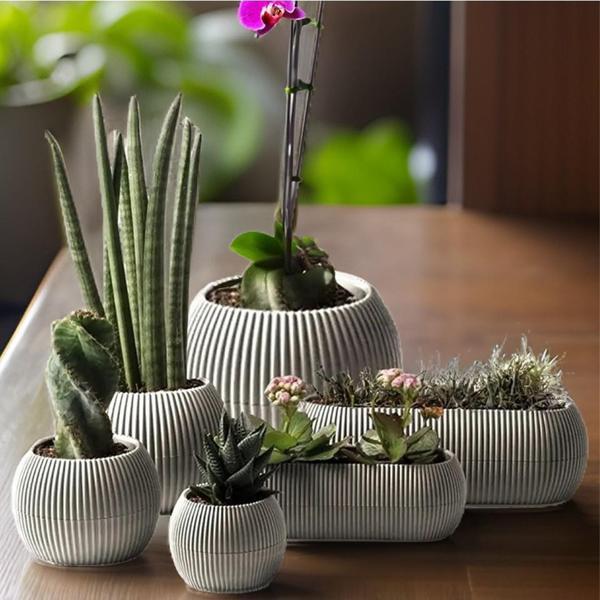 Omnipazar Mercan Dekoratif Sukulent Kaktüs Plastik Saksı Takımı 6'lı Set Bej - Image 1