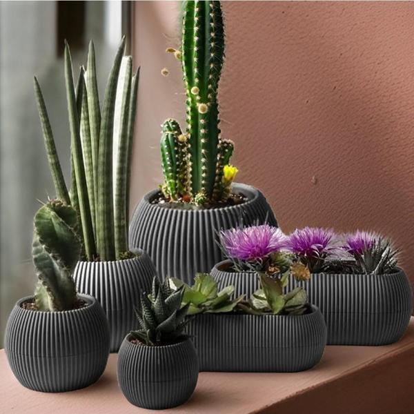 Omnipazar Mercan Dekoratif Sukulent Kaktüs Plastik Saksı Takımı 6'lı Set Antrasit - Image 1
