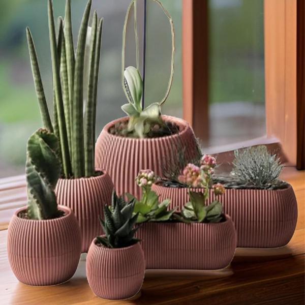 Omnipazar Mercan Dekoratif Sukulent Kaktüs Plastik Saksı Takımı 6'lı Set Pembe - Image 1