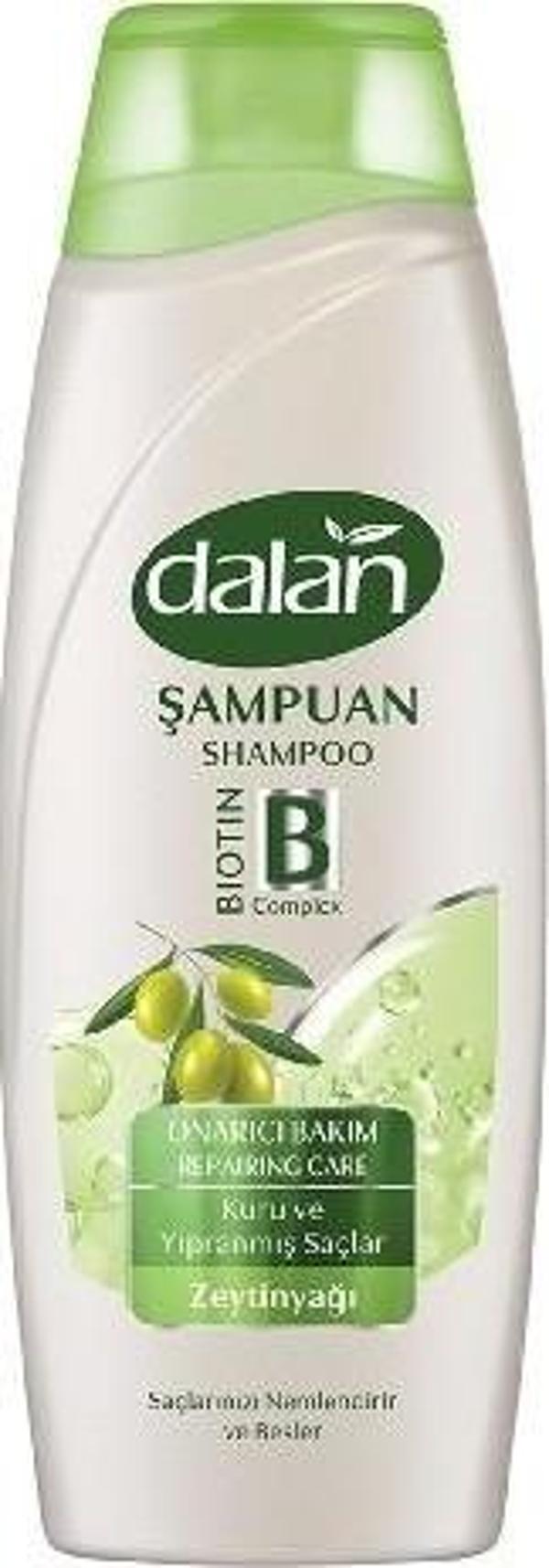 Dalan Şampuan Onarıcı Bakım Kuru Ve Yıpranmış Saçlar 450 Ml - Image 1