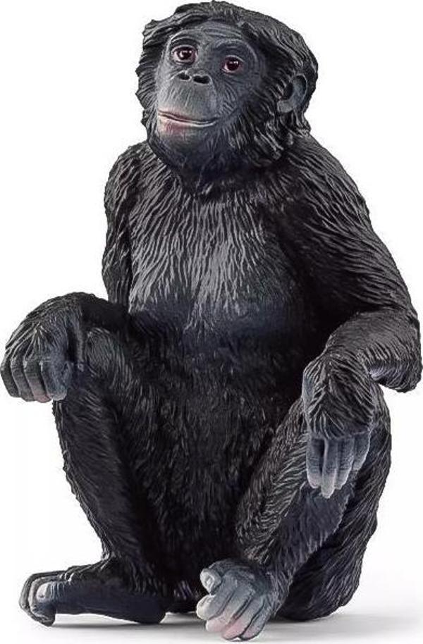 Schleich Wild Life Bonobo female 14875 - Image 1