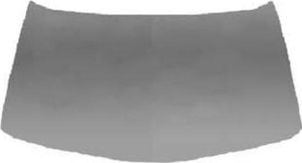 RENAULT - MOTOR KAPUTU MEGANE 2 2003- - 7751476151 - Image 1