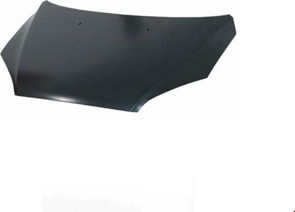FORD - MOTOR KAPUTU FOCUS 2005- - 4M51A16610AL - Image 1