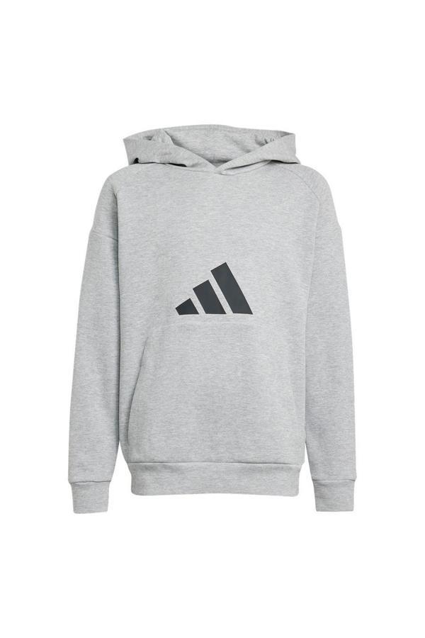 adidas Gri Çocuk   Sweatshirt J FI LOGO HD JJ4788 - Image 1