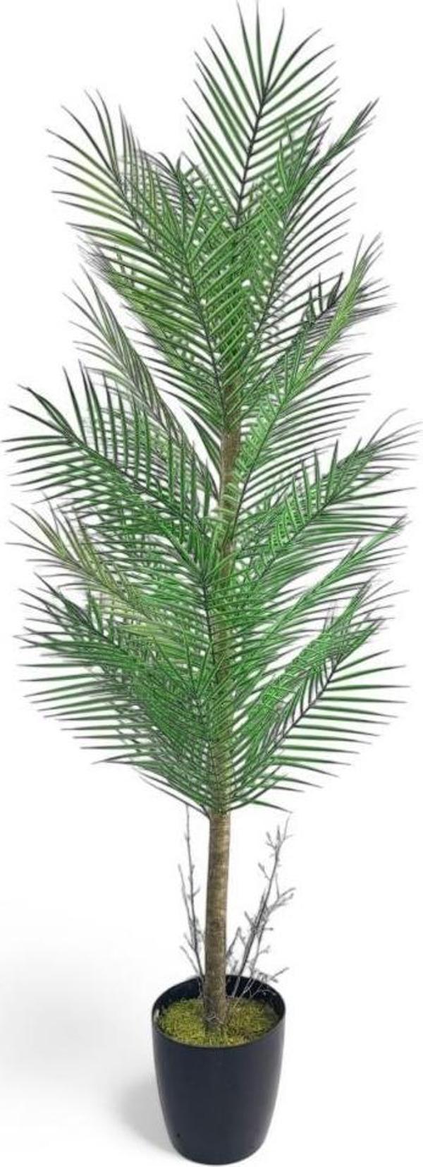 Yapay Ağaç Palmiye 155*50Cm 30Yaprak Areka Ağacı Siyah Saksıda Tek Gövdeli - Image 1
