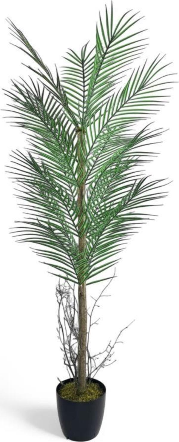 Yapay Ağaç Palmiye 135*50Cm 20Yaprak Areka Ağacı Siyah Saksıda Tek Gövdeli - Image 1