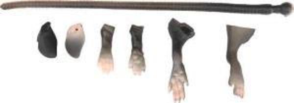 Savage gear LB 3D Rad Maintenance Kit 20 cm Black Sahte Balık - Image 1