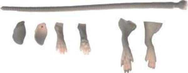 Savage gear LB 3D Rad Maintenance Kit 20 cm Grey Sahte Balık - Image 1