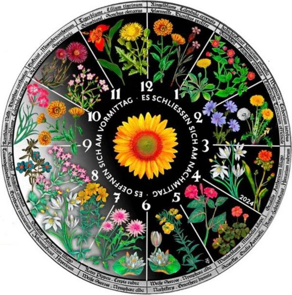 Çiçekli Saat Gümüş Sikke Coin - Image 1