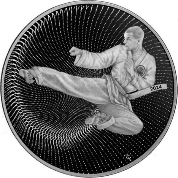 Dövüş Sanatları Gümüş Sikke Coin - Image 1