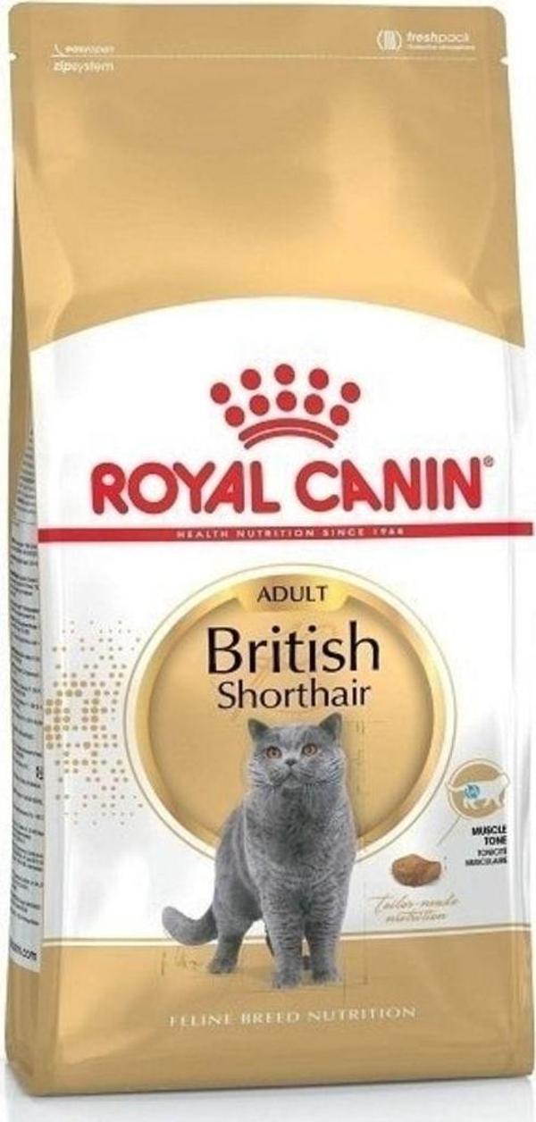 Royal Canin British Shorthair Irka Özel Yetişkin Kedi Maması 10Kg - Image 1
