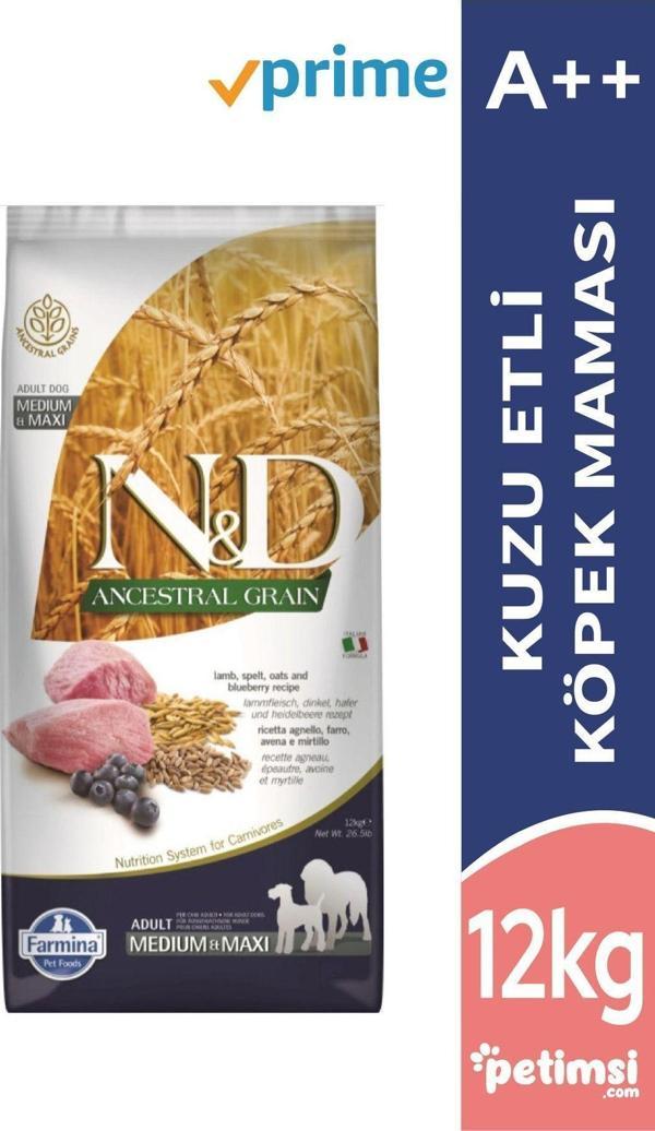 N&D Ancestral Graın Kuzu Etli Yaban Mersini Düşük Tahıllı Yetişkin Köpek Maması 12 Kg - Image 1