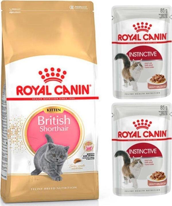 Royal Canin British Shorthair Kitten Yavru Kedi Maması 2 Kg Parça Etli Yaş Mama 2 Adet (Original) - Image 1